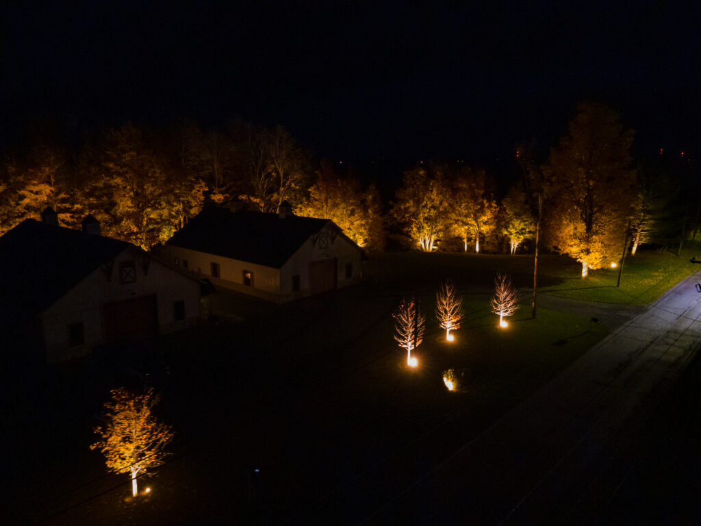 Lighting 1