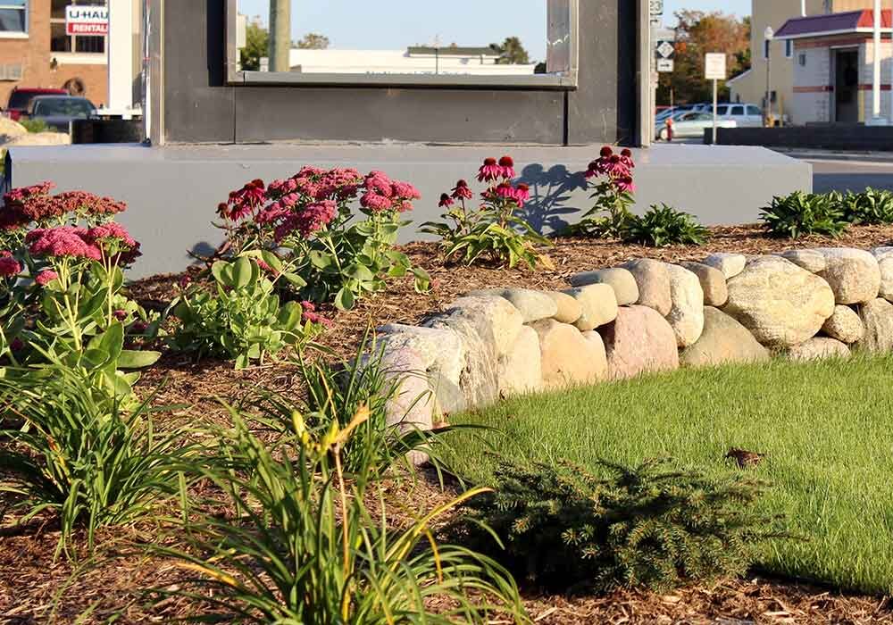 Garden border wall with planted coneflowers in an arc