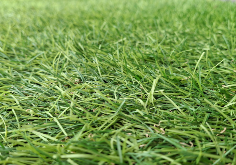 synthetic turf